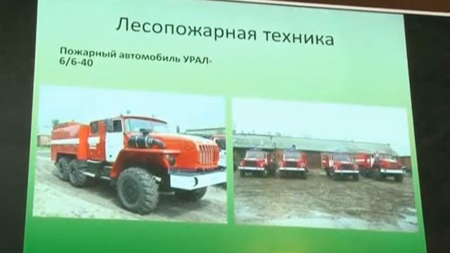 Детям о лесе смотреть онлайн