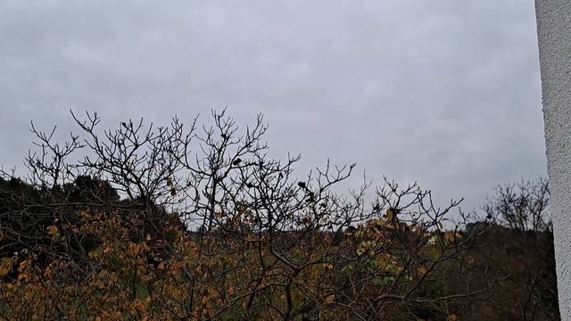 ЖУТКИЙ КНИЖНЫЙ МАРАФОН 👻🎃💀 || день 1 || неделя чтения Стивена Кинга || "Кэрри" Стивен Кинг || смотреть онлайн