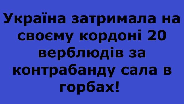 ТОП10 рейтинг анекдотів про сало смотреть онлайн