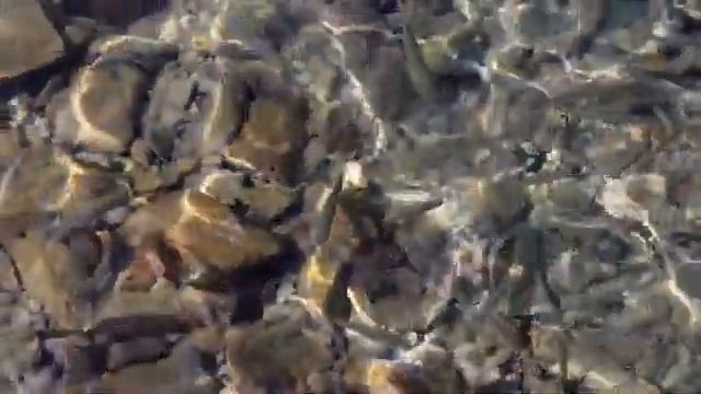 20.Так говорил Заратустра, Ницше. смотреть онлайн