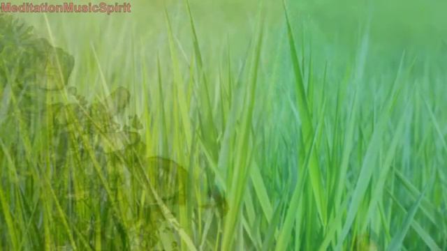 meditation classes near me Lagunitas 3D To Peaceful, Stress Relaxing, Meditation, Reiki смотреть онлайн