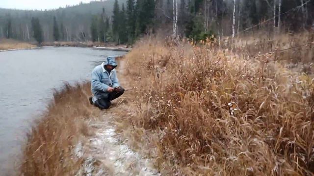 Улов вываживание Хариуса Это ЭПИЗОД из Фильма Ссылка На фильм В Описании смотреть онлайн
