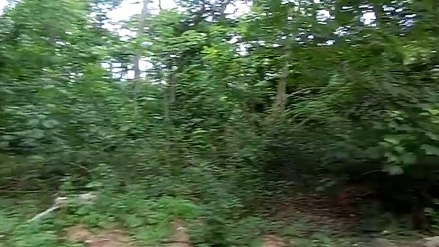 Neues Lager ,141ВШП 11 июля 2015 года смотреть онлайн