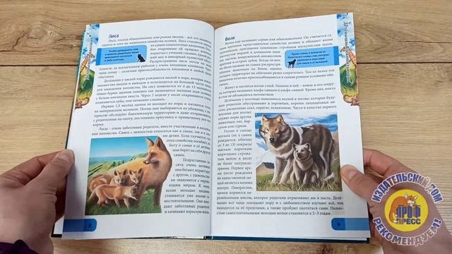 ЭНЦИКЛОПЕДИЯ. В МИРЕ ЗНАНИЙ. ДЕТЁНЫШИ ЖИВОТНЫХ смотреть онлайн