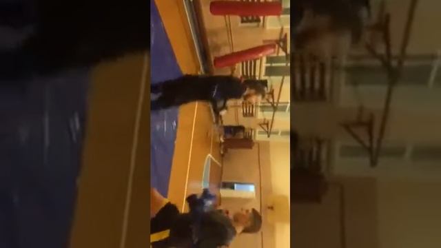 бой локтями муай тай борисов патрыет смотреть онлайн