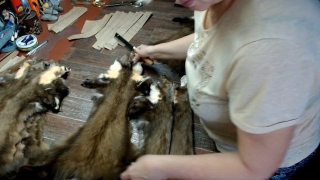 Шкурки куницы для пошива шубы. Скорняк мастер за работой. Меховое ателье по пошиву куньих шуб. смотреть онлайн