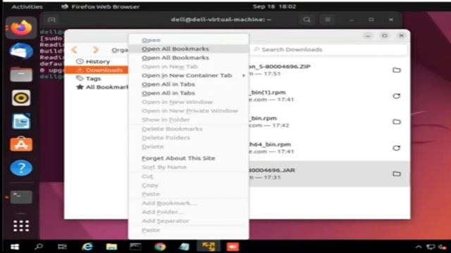 How to install SAP Gui for ubuntu смотреть онлайн