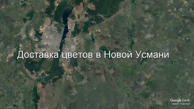 Доставка цветов в Новой Усмани - Заказ букетов от компании Скорая подарочная помощь смотреть онлайн