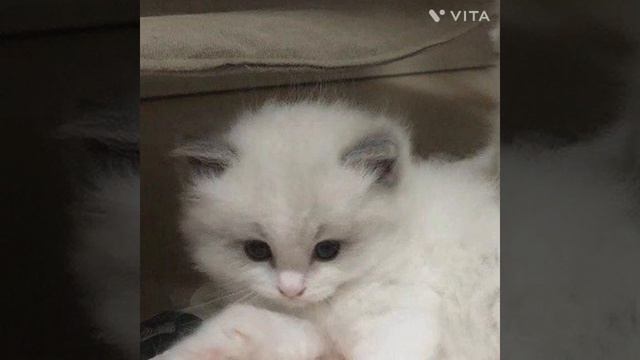 Знакомство.всем привет) смотреть онлайн