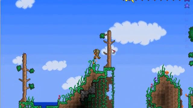 Terraria - Biome Series: Forests!
