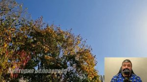 Неверный муж. Рассказ, трогающий сердца