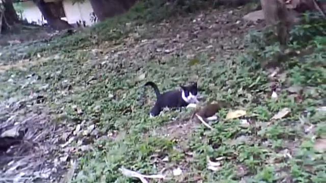 Борьба за выживание смотреть онлайн