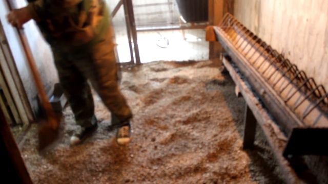 Перезагрузка для курятника. Приводим птичник в порядок после зимы