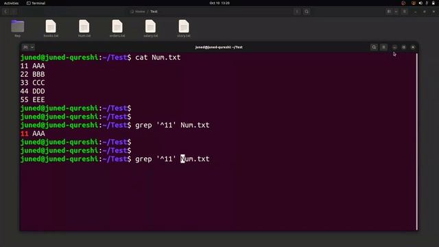 How To Reverse Search Using Carat And Grep Command In Linux | Grep Command