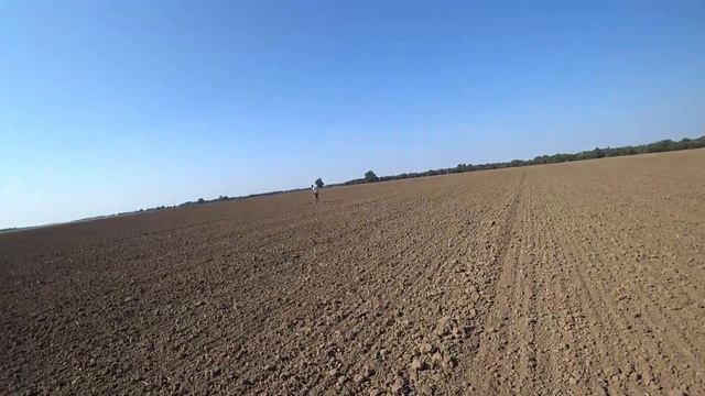 Коп 2022 в жарищу 32 градуса. Огромное поле в нашем распоряжении.Находки и ржака. Влад TV. смотреть онлайн