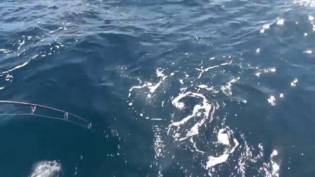 Ловля тунца в Океане смотреть онлайн