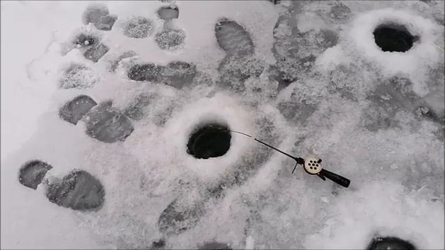 РЫБАЛКА на Воронежском водохранилище, затон, Семилукские выселки, 12.01.2023 года смотреть онлайн