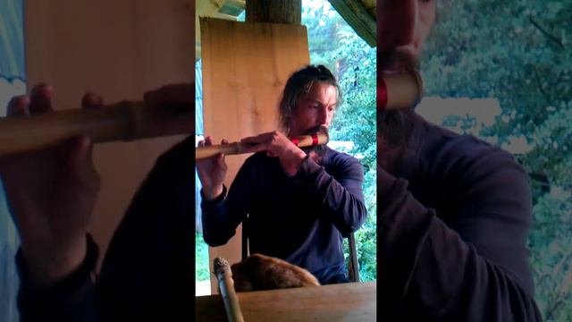 Бансури глубокая. Артикул 043