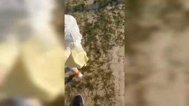 Как кошка Маруся Спанки гоняла. Домашние животные. смотреть онлайн