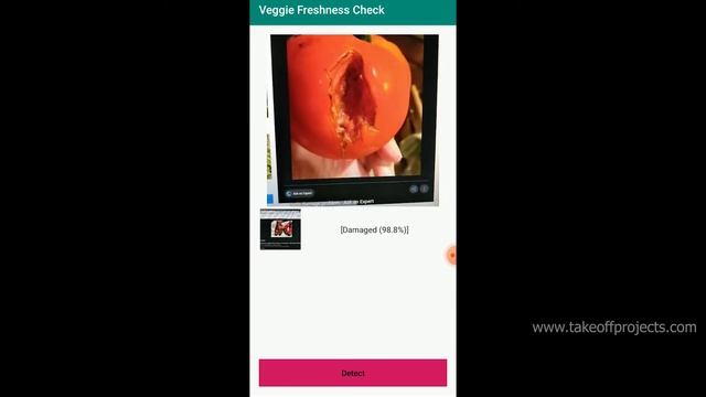 VEGGIE FRESHNESS CHECK APP 2022 | Android Application Projects смотреть онлайн