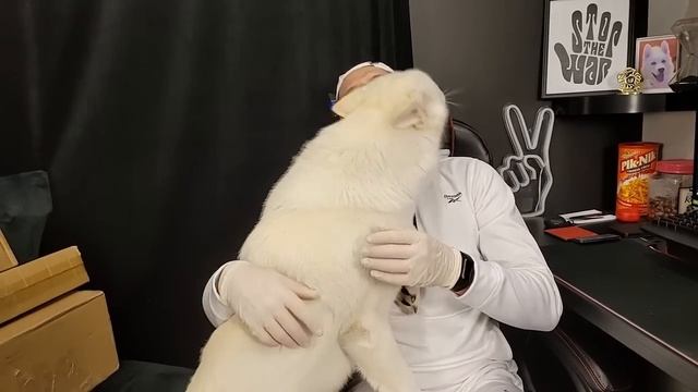 КОРОБОЧКИ ПО $0.50 / РАСПАКОВКА ПОТЕРЯННЫХ ПОСЫЛОК / BATTLE - Round 2 / Kristy VS Vik / КТО ГОТОВИТ смотреть онлайн