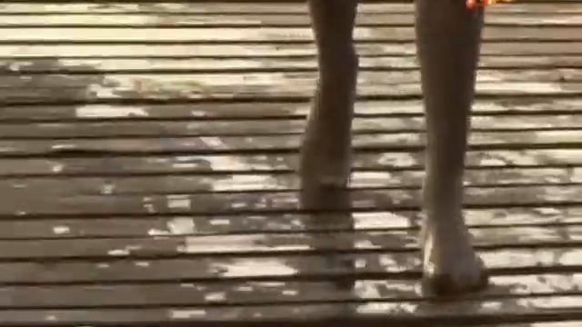 Приседания с утяжелением от Ириной Турчинской смотреть онлайн