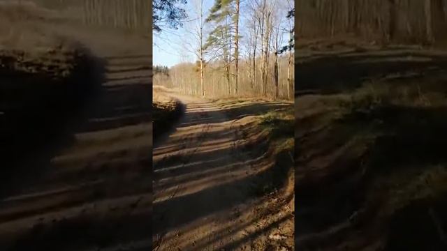 Белые горы смотреть онлайн