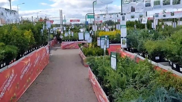 Купили с Мамой Цветы на Дачу смотреть онлайн