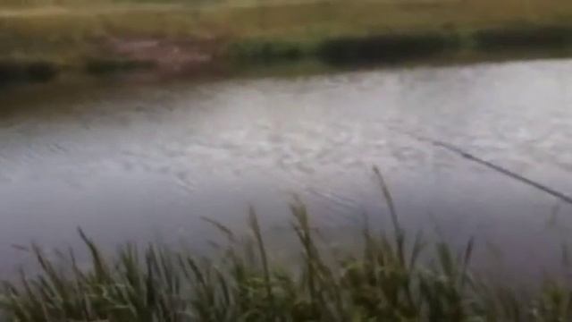 Рыбалка в Никольском. смотреть онлайн