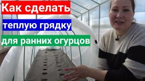 Самый быстрый урожай огурцов на теплой грядке. Как  сделать теплые грядки для посадки огурцов