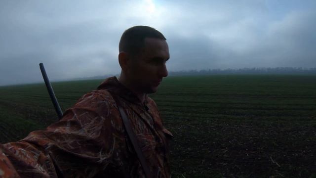 Охота на зайца, отличное открытие 2021.Выгнали зайца с первой лесополосы. смотреть онлайн