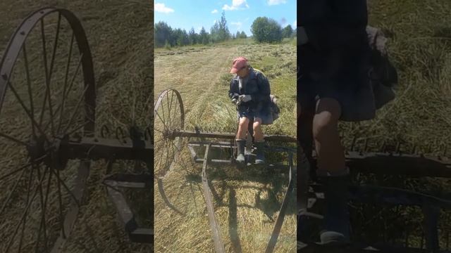 Конные грабли ! А как бы без вас?... смотреть онлайн