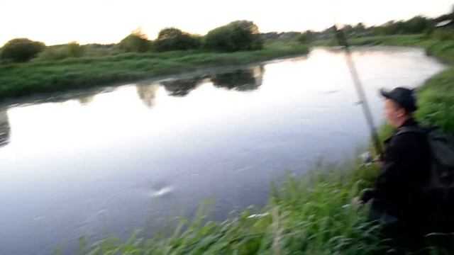 Ловля язя на стрекозу Хвойнинский район смотреть онлайн