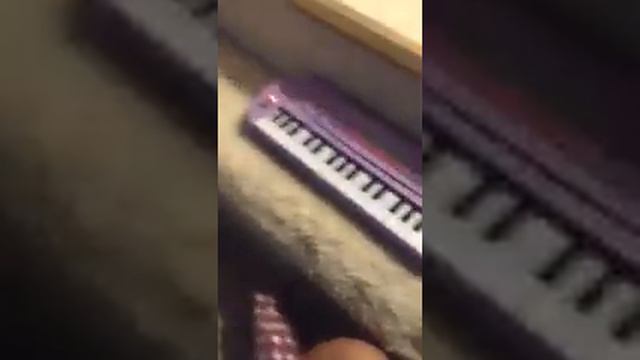 HS3260B 32 Keys Electronic Piano Demo