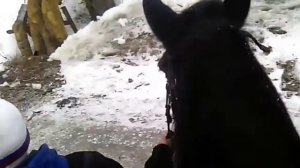 Катаюсь на лошади на Масленицу.