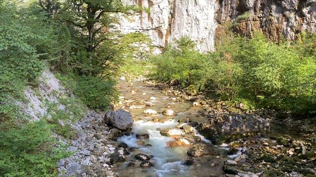 Горные реки Абхазии. Юпшара смотреть онлайн