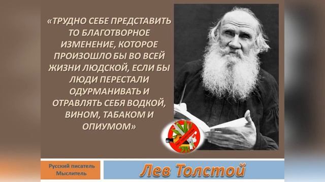 жизнь без наркотиков. смотреть онлайн