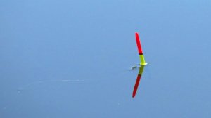 РЫБАЛКА НА ПОПЛАВОК ГУСИНОЕ ПЕРО!!! БАМБУЧКА В ДЕЛЕ! ловля на реке на удочку