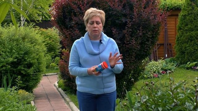 Как избавиться от муравьев на участке. Дешевый и простой способ. смотреть онлайн