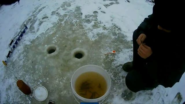 Первые жерличные щуки. Сезон 2016 - 2017 года. Болен Рыбалкой №319 смотреть онлайн