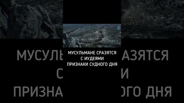 Мусульмане сразятся с иудеями признаки судного дня смотреть онлайн