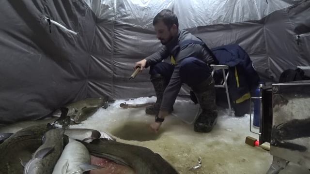 ВОТ ЭТО ГИГАНТЫ В РУЧЬЕ! Ловлю на палку с куском лески огромных налимов! смотреть онлайн