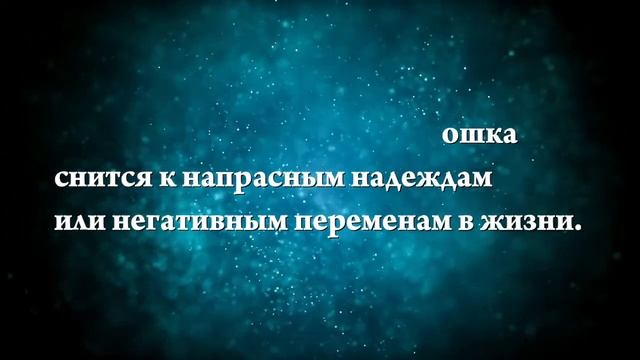 К чему снится беременная кошка - Онлайн Сонник Эксперт смотреть онлайн