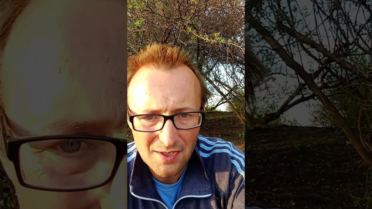 Подстримок в Инстаграме, 20 октября. У львов появился стол. Live on IG, 20 october. Lions got table смотреть онлайн