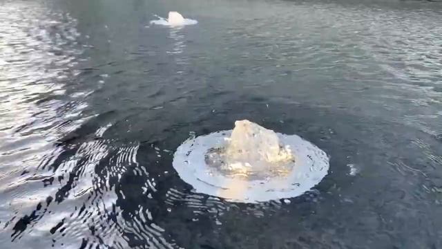 Capital Park by Jawl Properties - Water Wall, Water Jets, Reflecting Pool Water Features смотреть онлайн