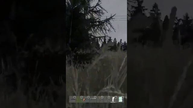 В ПОИСКАХ МЕДВЕДЯ #klemov #dayz #livonia #bear #search смотреть онлайн