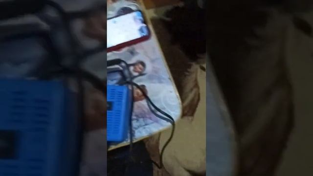 удлинитель работает