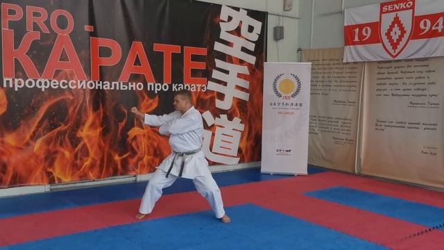 Tekki Shodan. Kata and Bunkai. Slow and fast motion. Performance and practical use. Текки Шодан. смотреть онлайн