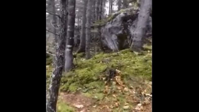 Ветер с моря дул, ветер с моря дул смотреть онлайн