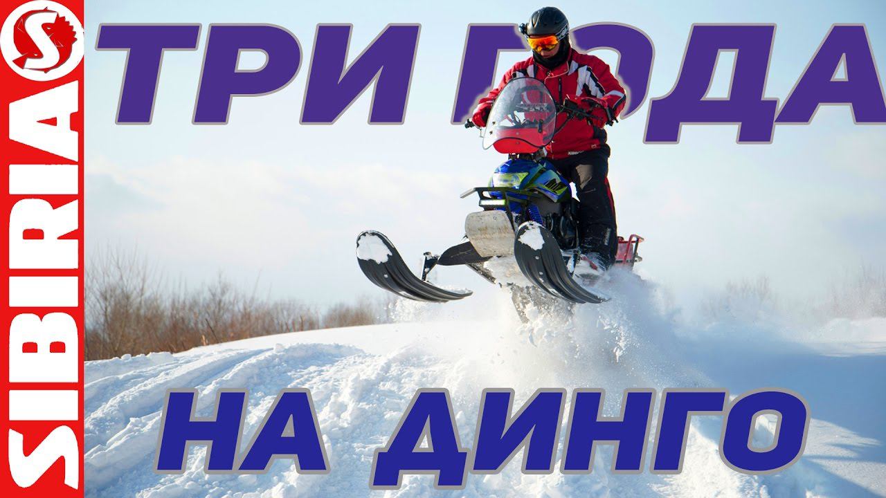 ТРИ года на ДИНГО T150 Отзыв советы  Снегоход ирбис Dingo т150/ Кофр снегохода Irbis динго СИБИРИЯ